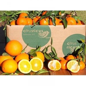 kombi-box-orangen-mandarinen-15kg (1)